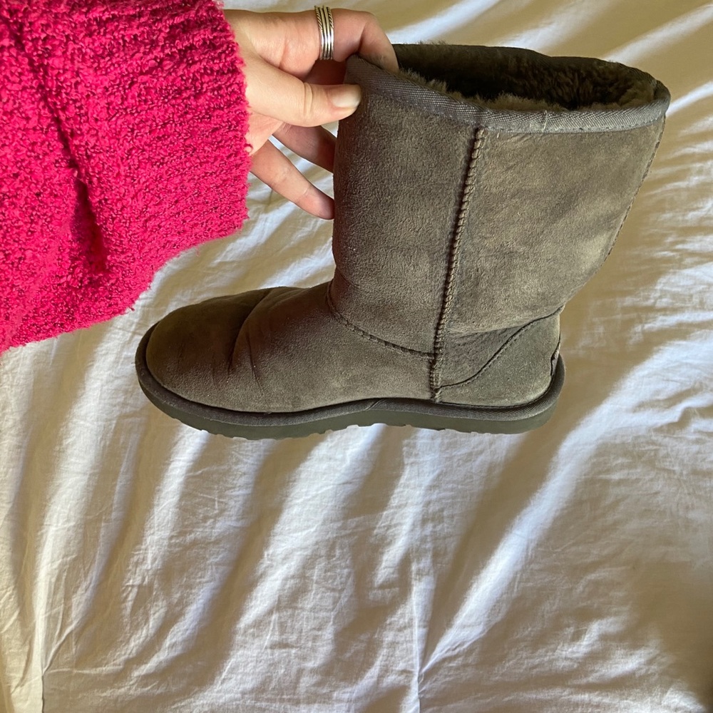 Gray Short Uggs - Picture 8 of 9